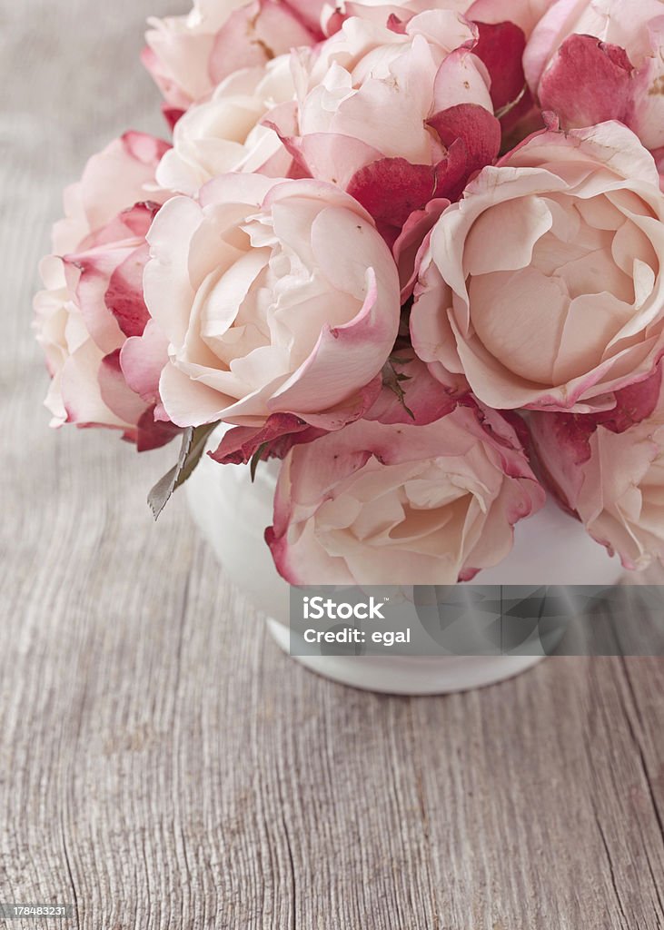 Pink roses - Foto de stock de Jarrón libre de derechos