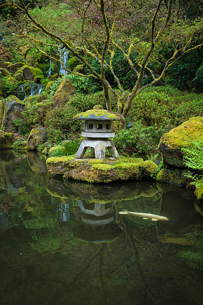 istock Koi in a garden pond 178483839
