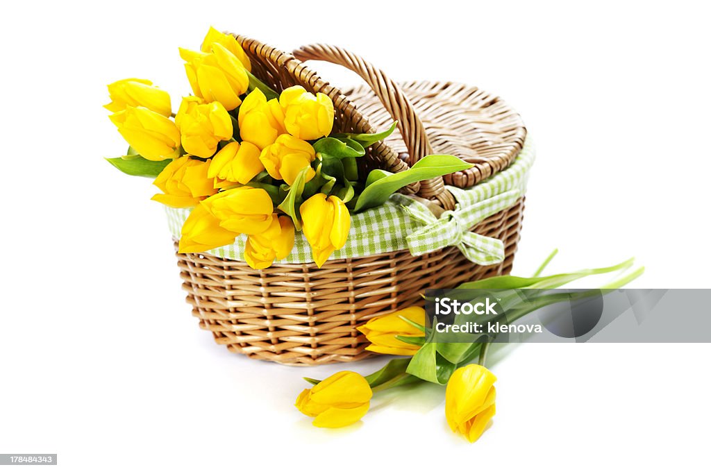 Yellow tulips in a basket Yellow tulips in a basket on white background Anniversary Stock Photo