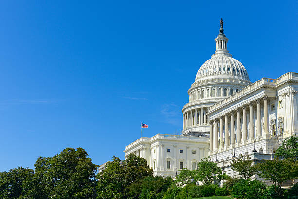 Capitol Building "Capitol Building in Washington DC, USASee also:" state capitol building stock pictures, royalty-free photos & images