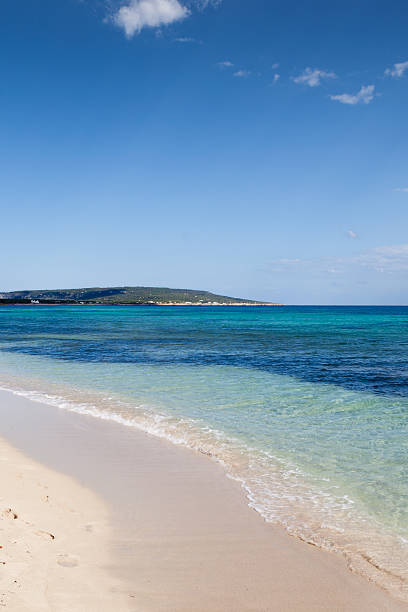 istock Migjorn Beach - Formentera 178484791