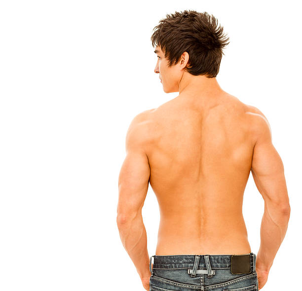 Young muscular man. stock photo