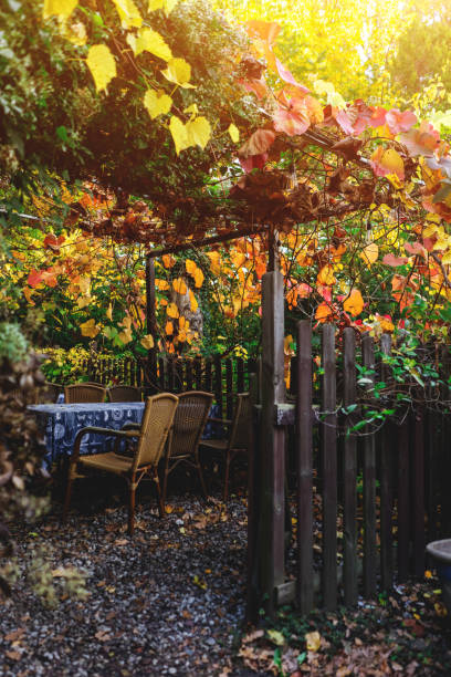 istock cozy autumn yellow backyard with wooden table and chairs 1784854182