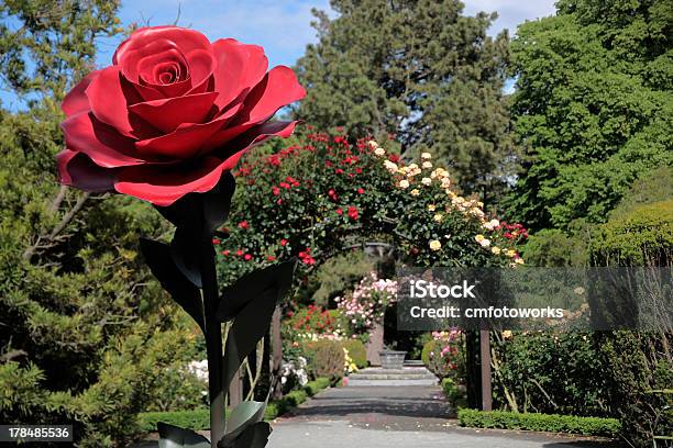 Jardín De Rosas En Los Jardines Botánicos Foto de stock y más banco de imágenes de Christchurch - Región de Canterbury - Christchurch - Región de Canterbury, Aire libre, Arco - Característica arquitectónica
