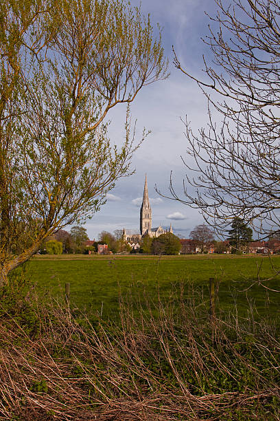 istock Salisbury cathedral in Wiltshire 178485755