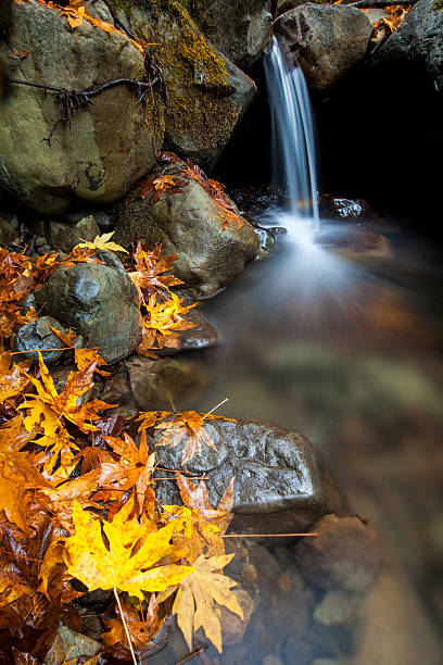 Fall Leaves and Waterfall stock photo