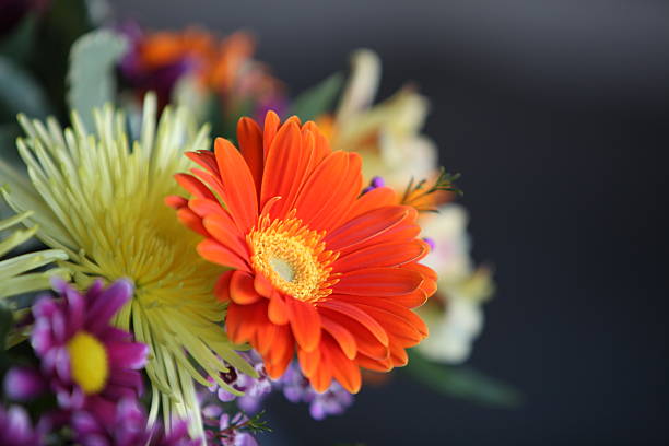 Bundle of assorted flowers stock photo