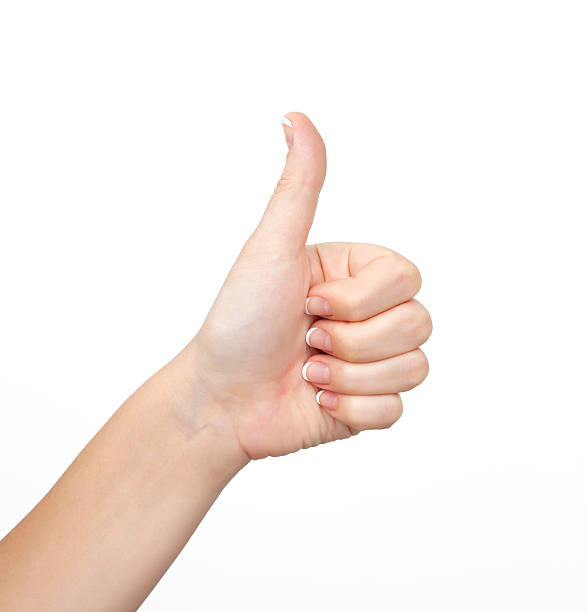 istock female hand on the isolated background 178486583