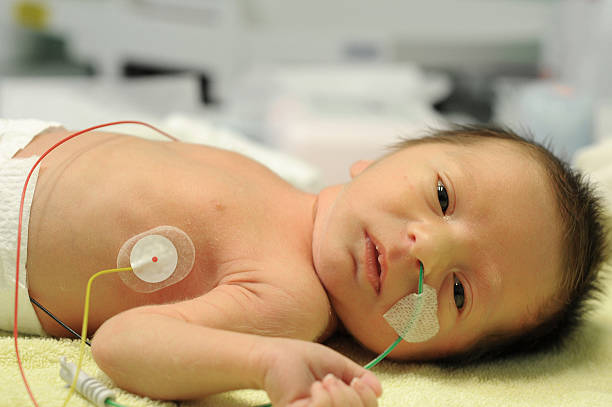 istock Newborn baby in incubator 178486911
