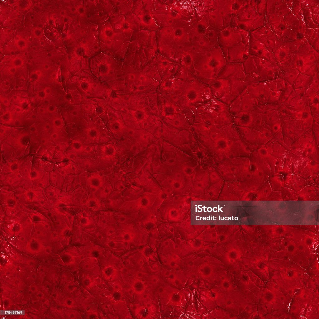Inside body (Seamless texture) See my medicine images serie by clicking on the image below: Blood Cell Stock Photo