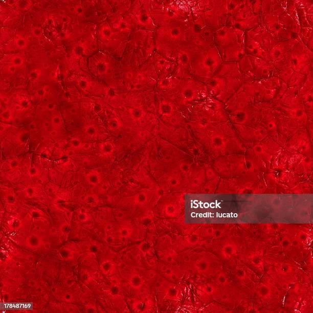 Inside Body Stock Photo - Download Image Now - Blood Cell, Textured, Blood