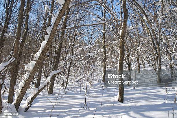 겨울맞이 환경은 임산 0명에 대한 스톡 사진 및 기타 이미지 - 0명, 겨울, 계절