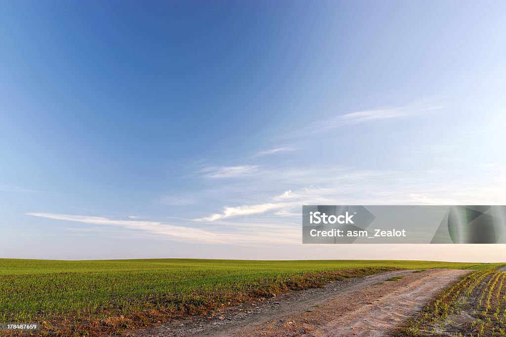 Farm road - Foto stock royalty-free di Ambientazione esterna