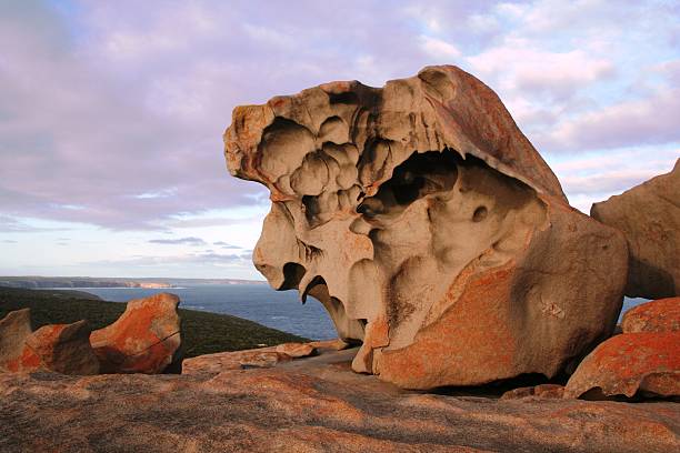 Remarkable Rocks, Kangaroo Island, South Australia "Located in Flinders Chase National Park, the impressive Remarkable Rocks are a cluster of precariously balanced granite boulders which have been shaped by the erosive forces of wind, sea spray and rain over some 500 million years." natural bridges national park photos stock pictures, royalty-free photos & images