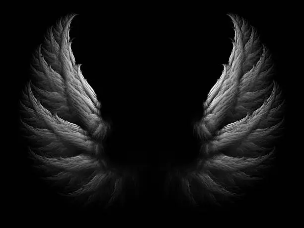 White angel wings on black background.