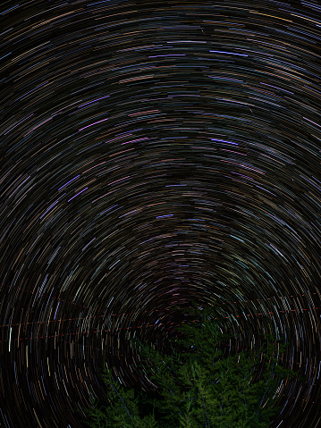 In a secluded area near Mathias, West Virginia, the night sky comes alive with mesmerizing star trails, with the North Star at its center, while a prominent pine tree stands in the foreground. This enchanting scene captures the celestial beauty of a clear, starry night in a region with minimal light pollution.