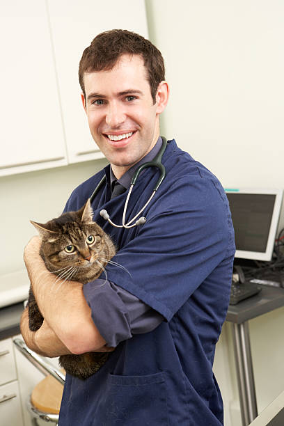 istock Male Veterinary Surgeon Holding Cat In Surgery 178489083