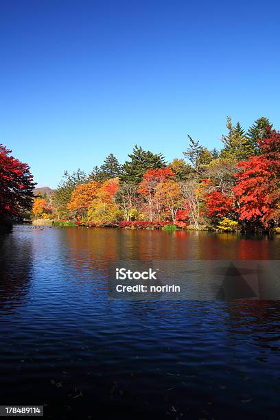 Outono Cores Pond - Fotografias de stock e mais imagens de Colorido - Colorido, Pequeno Lago, Amarelo