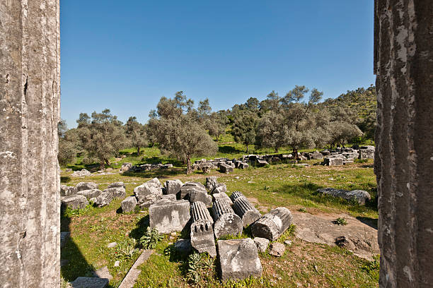 istock Euromos, Aegean Turkey 178489337