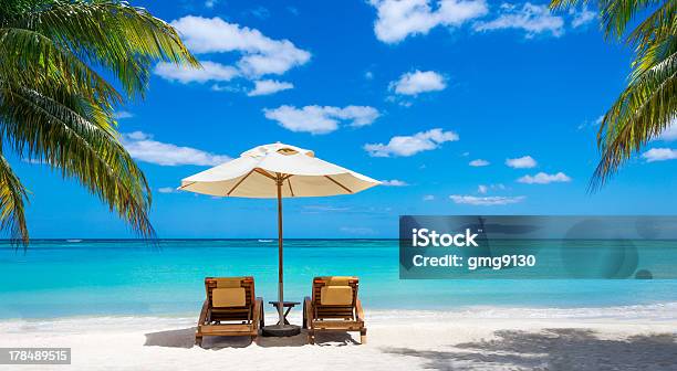하얀 모래 팜형 나무가 플라주 해변에 대한 스톡 사진 및 기타 이미지 - 해변, 의자, 양산