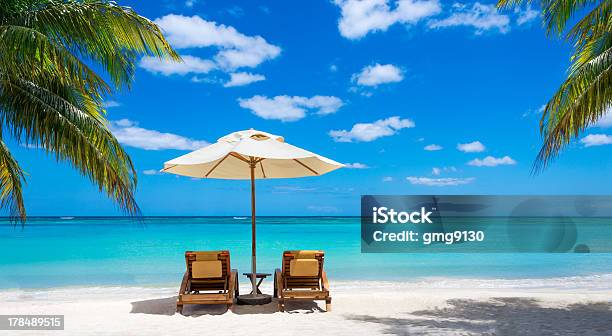 White Sand And Palm Trees On Beach Stock Photo - Download Image Now - Beach, Chair, Parasol