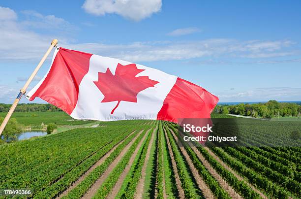 Bandeira Do Canadá Voar Sobre Uma Vinha Em Niagara Região Vinícola - Fotografias de stock e mais imagens de Bandeira do Canadá