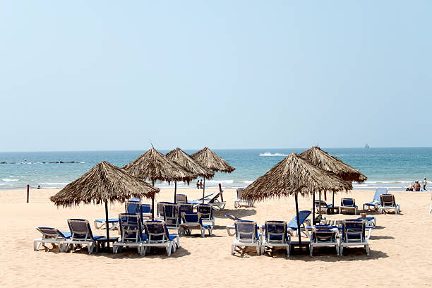 istock Straw umbrellas and chaise-longues on a beach. 178491345