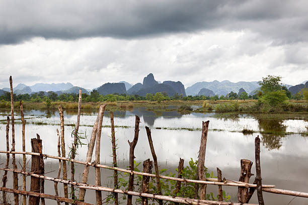 monsone rains - monsoon laos horizontal horizon over land foto e immagini stock