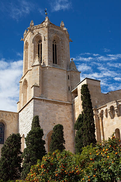 istock Cathedral tower of Tarragona 178492491