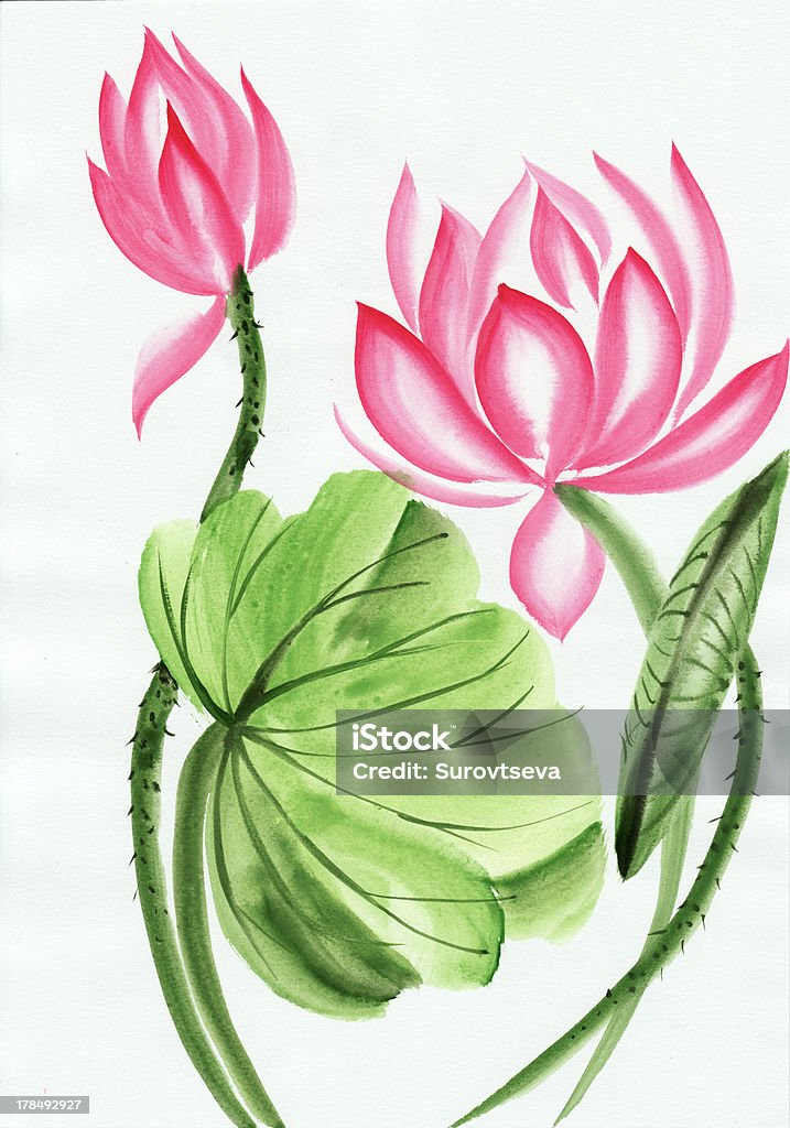 Pintura de acuarela de rosa Flor de loto - Ilustración de stock de Loto libre de derechos