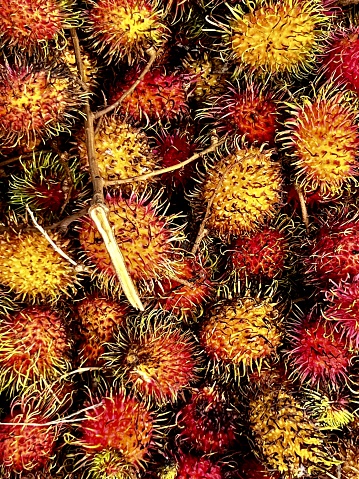 Red rambutan sweet and freshness fruit from Thailand  garden in the basket background