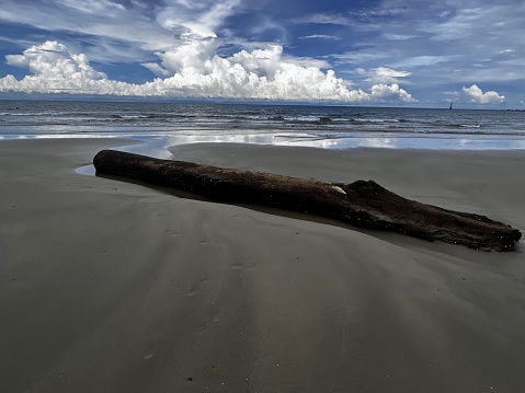 A log washed up on a beautiful white sandy beach in Borneo. Pretty atmospheric sky with reflections in the sea
