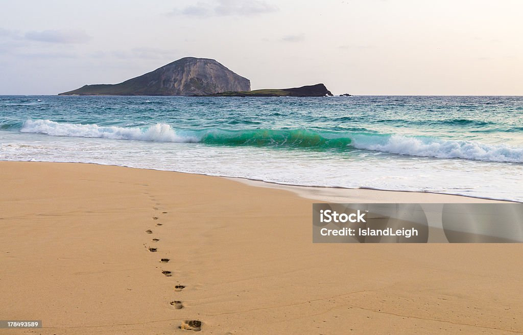Footprints To The Ocean Single set of footprints leading to the ocean at Makapuu Beach with Manana and Kaohikaipu Islands (Rabbit Island and Turtle Island) in the distance, Oahu, Hawaii Barefoot Stock Photo