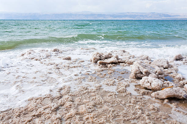 istock crystalline salt on beach of Dead Sea 178493901