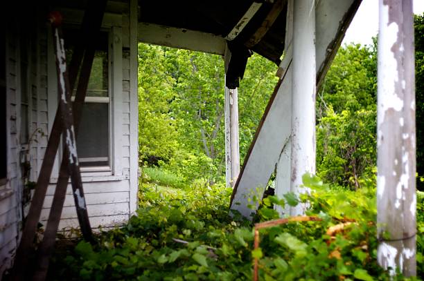 Abandoned House with vines growing on porch stock photo