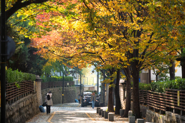 Seoul Downtown Korea
