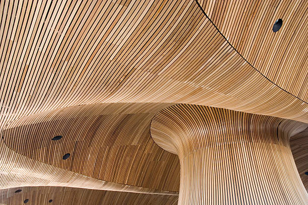 Ceiling of Welsh Parliament Building in Cardiff Wales "Modern, sustainable architecture in a governmental buildingin UK." welsh culture stock pictures, royalty-free photos & images