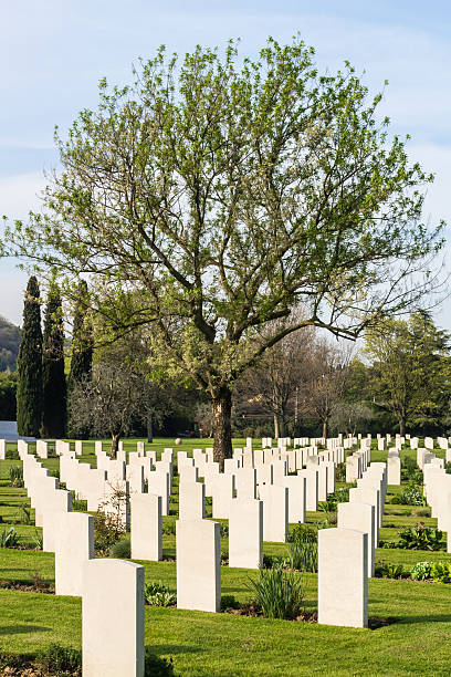 istock Cemetery of war 178494984