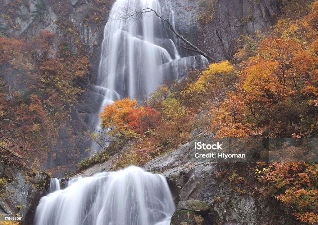 Jesienią Yasunotaki falls - Zbiór zdjęć royalty-free (Bez ludzi)