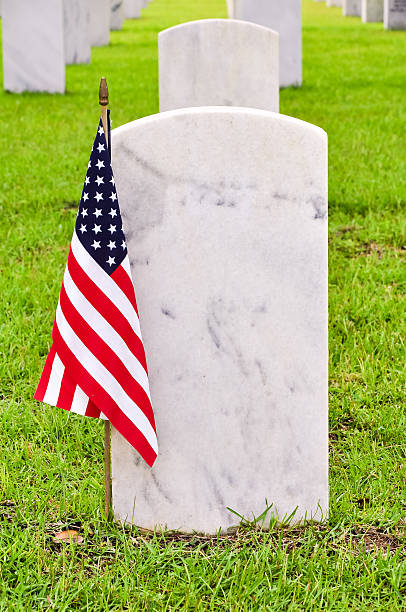 armia tombstones na national cemetery - falling vertical green grass zdjęcia i obrazy z banku zdjęć