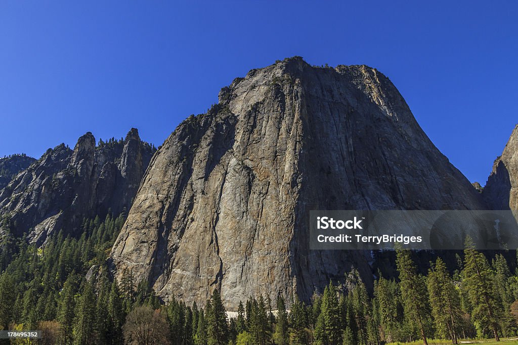 El Capitan, le parc National de Yosemite, en Californie. - Photo de Arbre à feuilles persistantes libre de droits