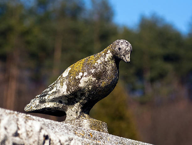 Dove on a tombstone in the graveyard