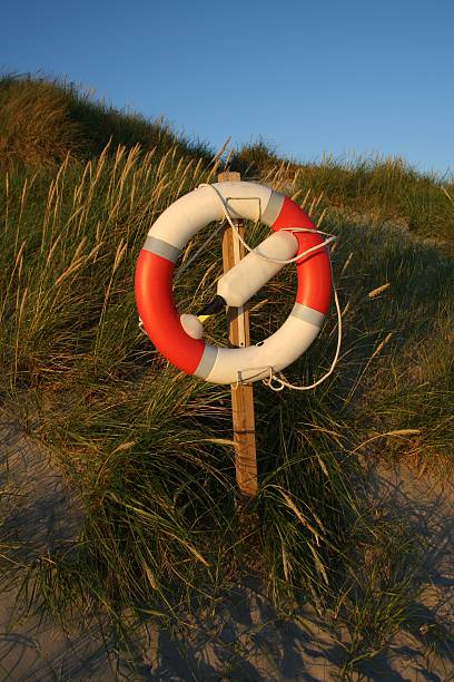 salvataggio boa su una spiaggia - abrasiveness foto e immagini stock