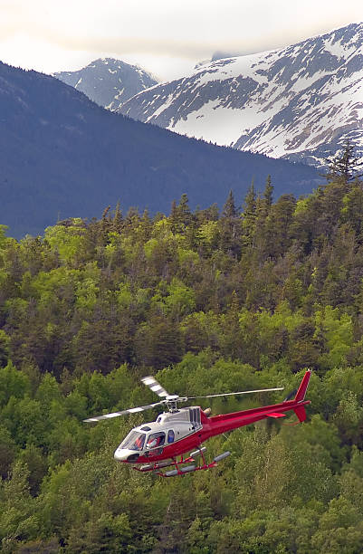 istock Aerial view of the  Alaska  wilderness 178496170