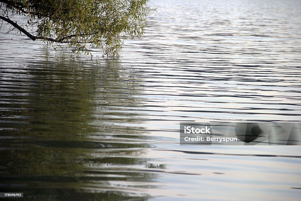 Branches Reflections Quiet precious moments around sunsetMore Nature images from photographers belonging to Microstockgroup: Arranging Stock Photo