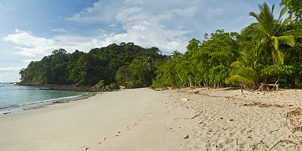 istock Manuel Antonio Beach & Punta Catedral Panorama 178496347