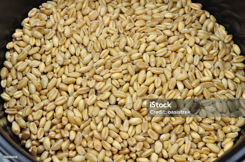 Di grano secco - Foto stock royalty-free di Alimentazione sana