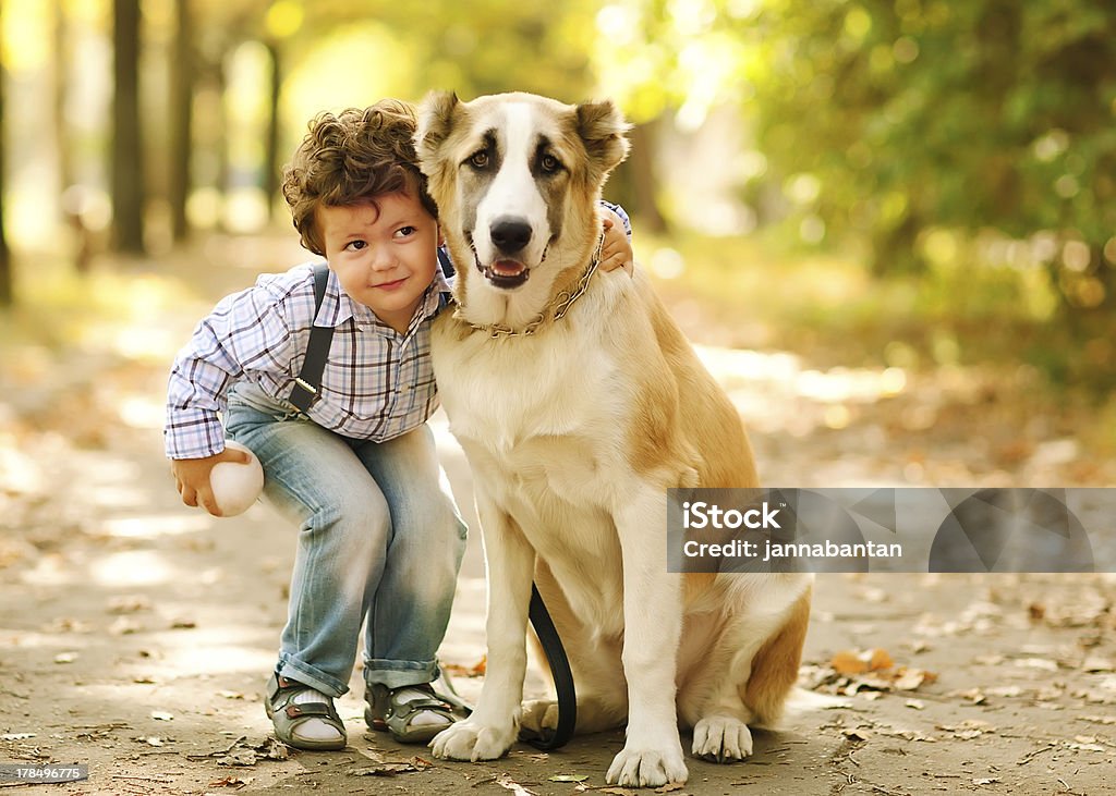 little cute boy playing with his dog little cute boy playing with his dog in the autumn park Boys Stock Photo
