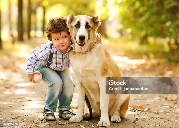 Little Cute Boy Playing With His Dog Stock Photo - Download Image Now - Boys, Dog, Adolescence