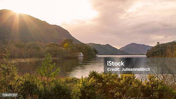 Lago A Killarney - Fotografie stock e altre immagini di Lago Lough Leane - Lago Lough Leane, Contea di Kerry, Killarney - Irlanda